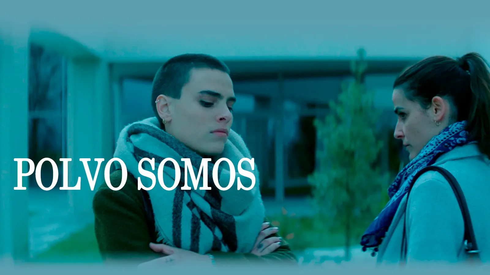 Polvo somos