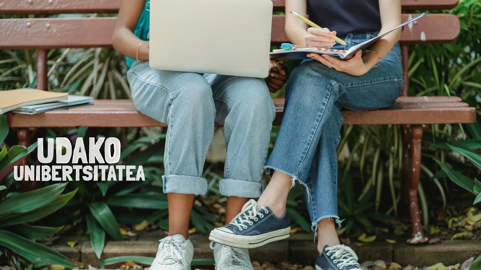 Udako unibertsitatea
