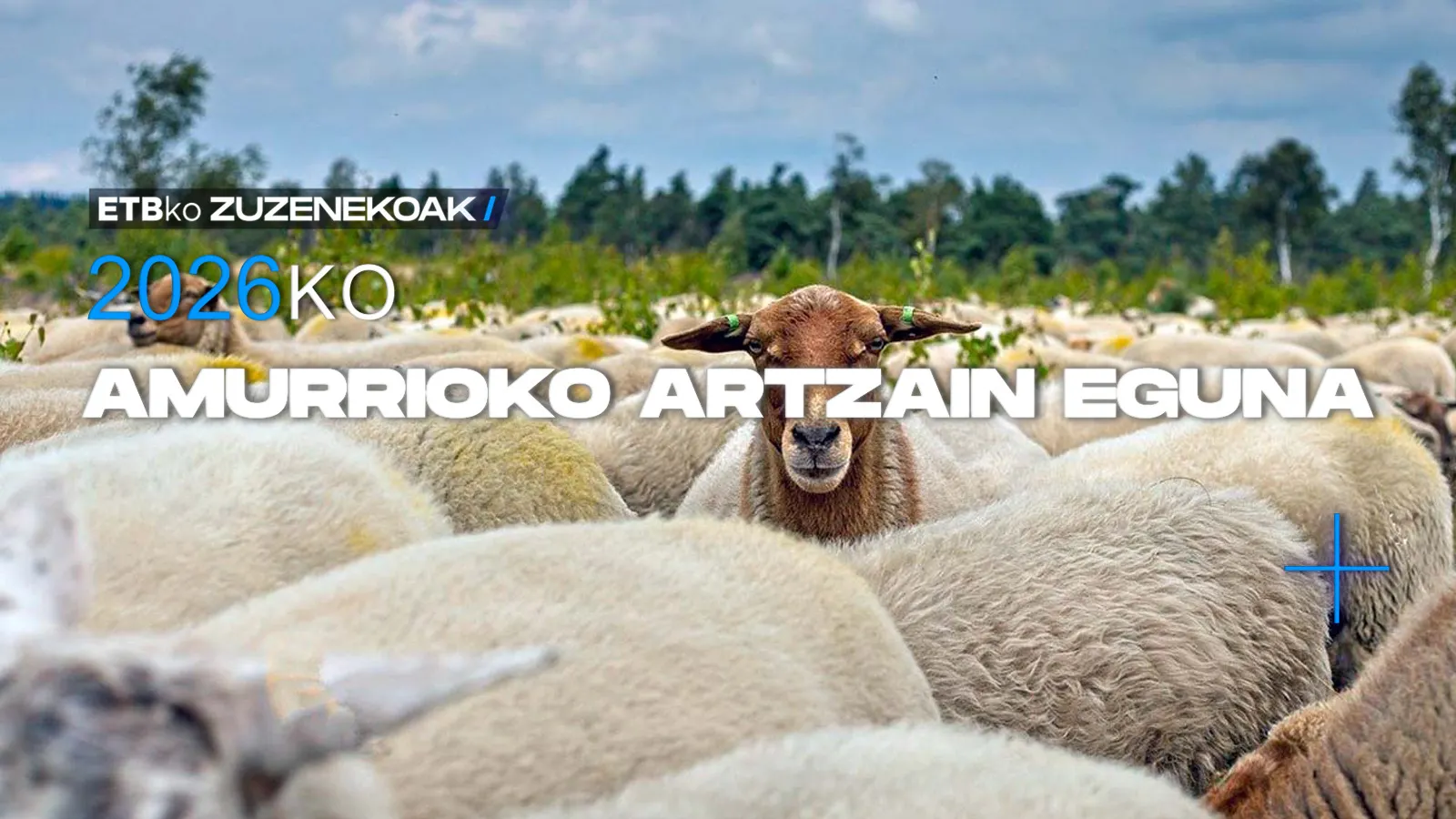 2026ko Amurrioko Artzain Eguna