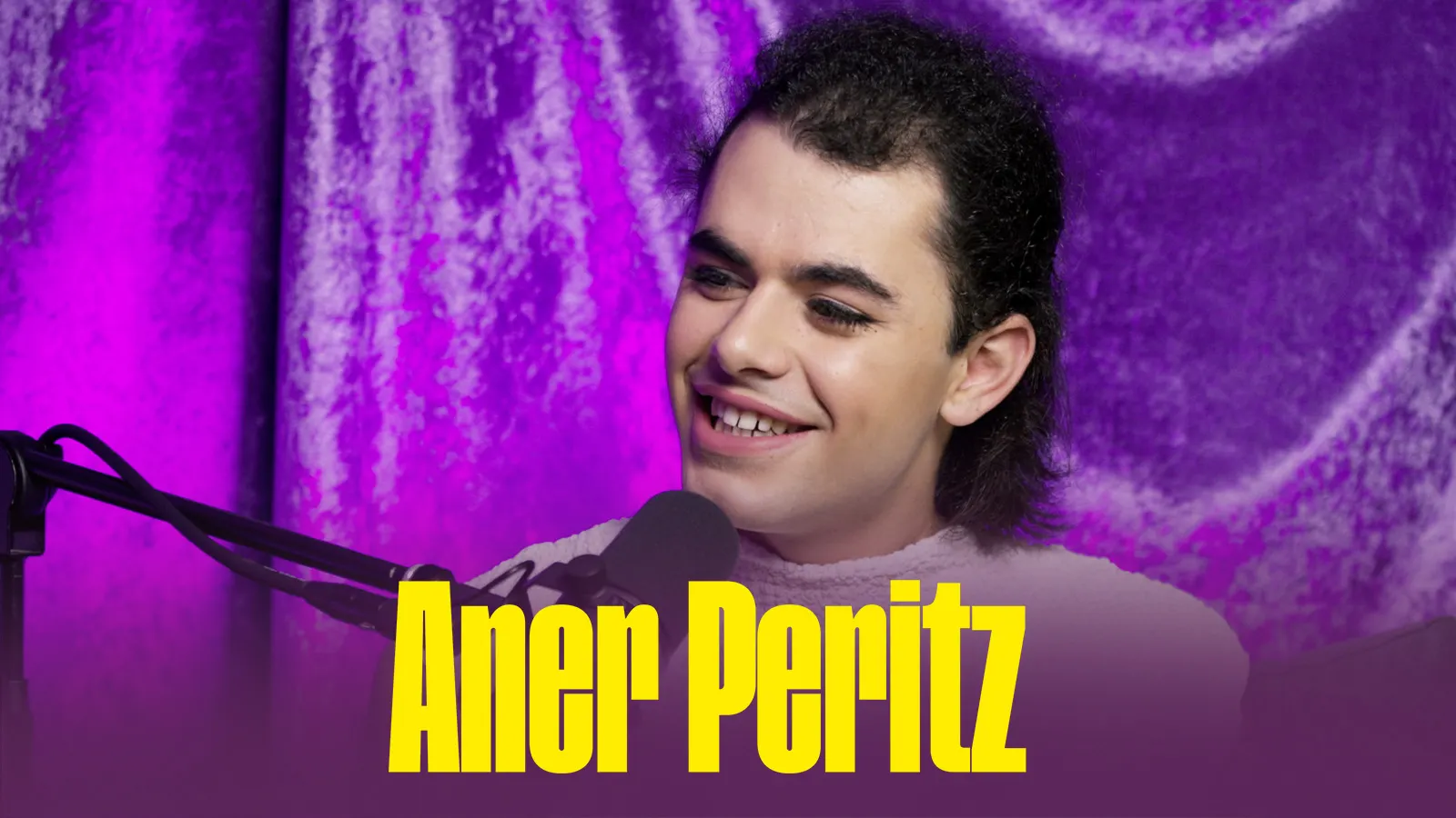7. Aner Peritz: Eraberritzea eta disidentzia