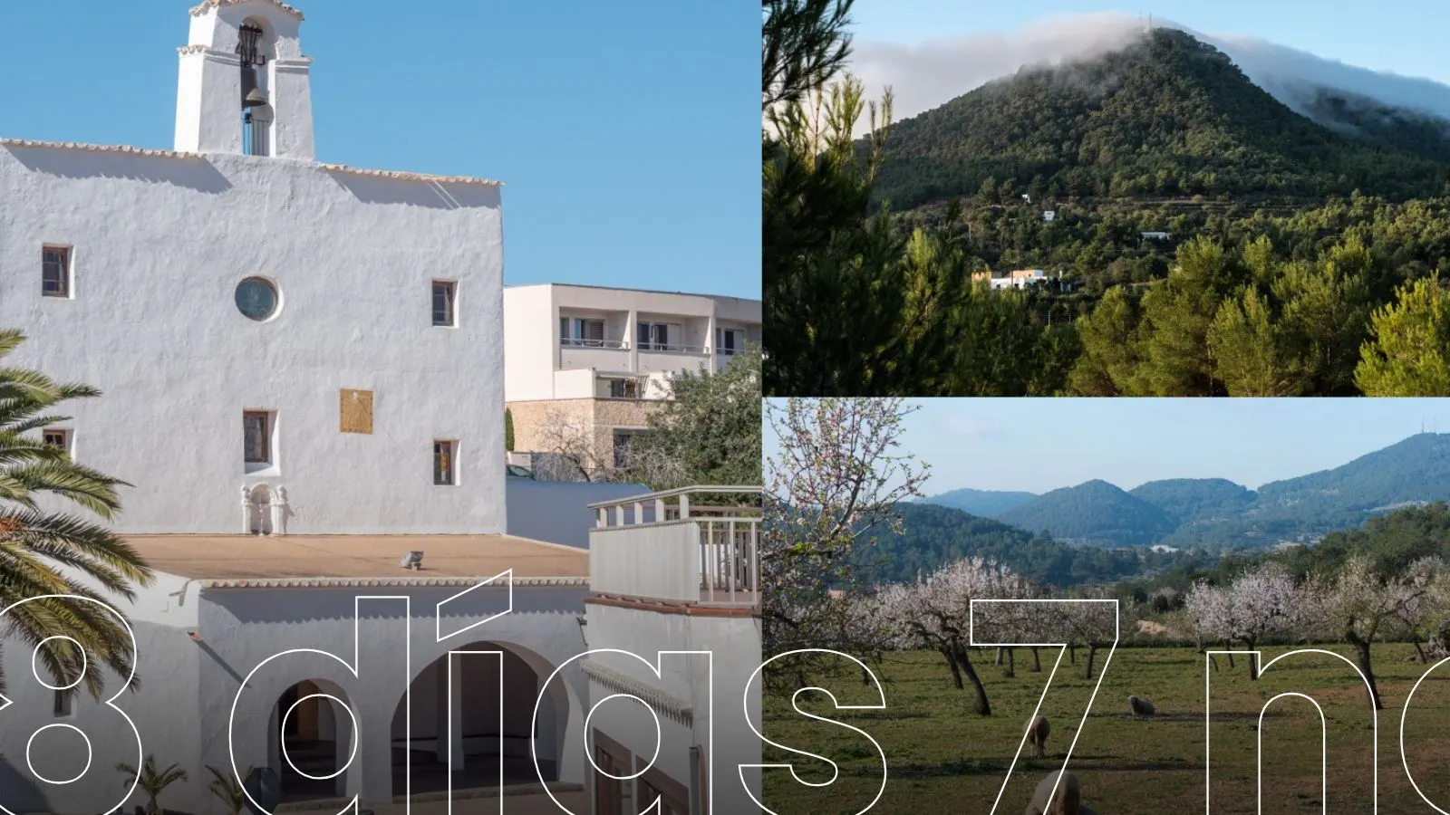 Ibiza, castillos y safaris fotográficos en África
