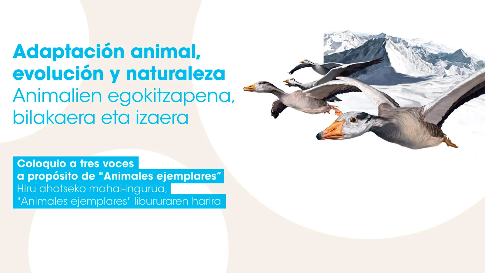 Adaptación animal, evolución y naturaleza