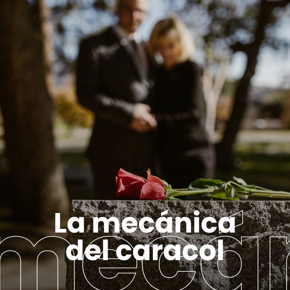 España macabra: viaje por la cultura de la muerte. Una dieta con menos carne beneficia al medio ambiente