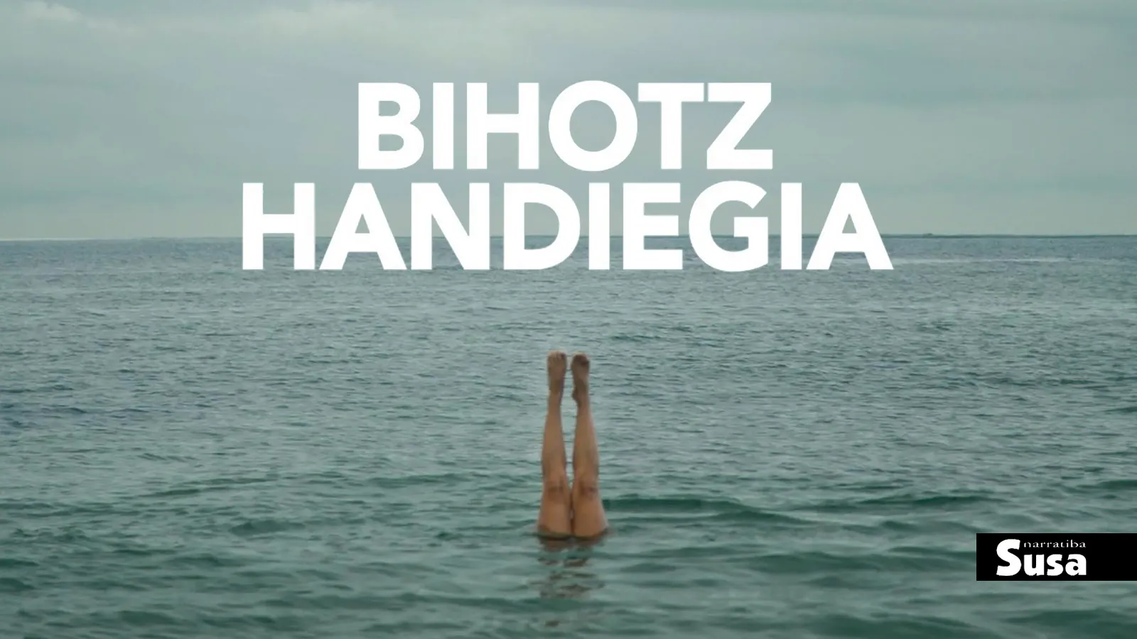 Bihotz handiegia