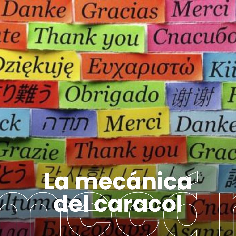 Hablar más de un idioma ralentiza el envejecimiento del cerebro. Violencia en la prehistoria