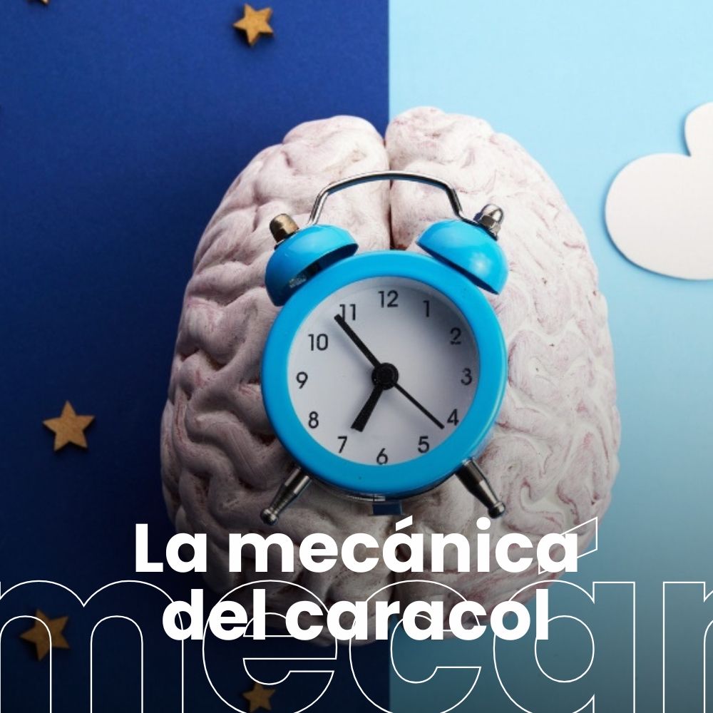 Desincronizados: la nutricionista Mariana Aróstegui propone resetear el metabolismo