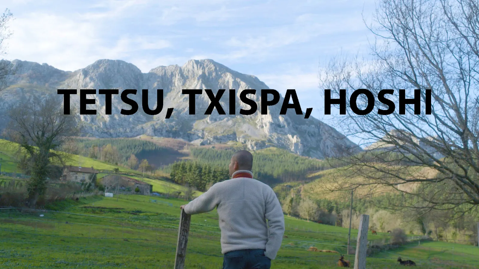Tetsu, Txispa, Hoshi