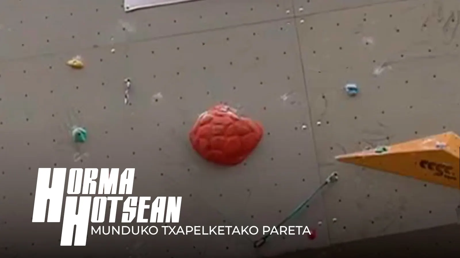 2. Patxi Usobiaga