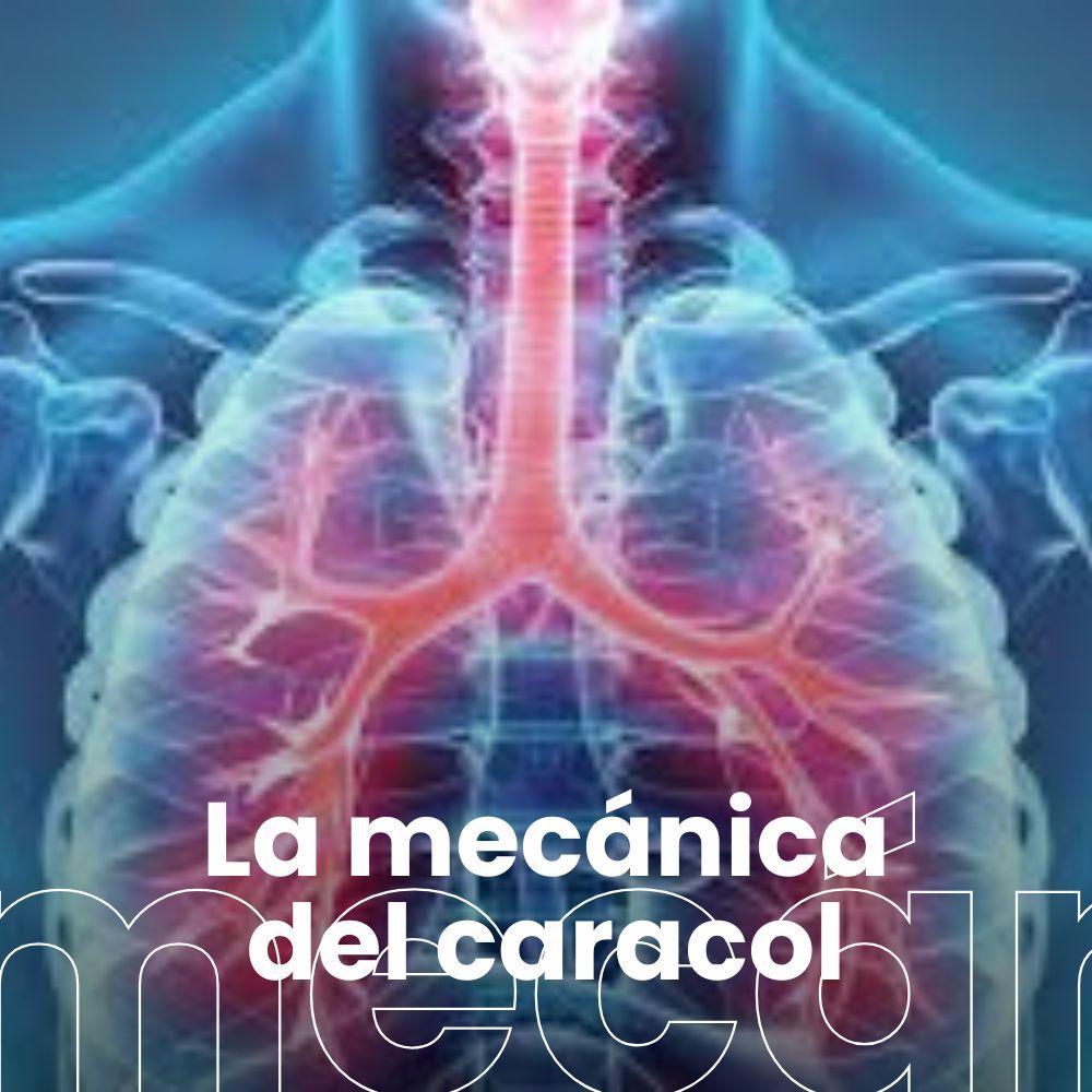 Fisioterapia respiratoria para reducir las estancias en las UCI. Cómo abordar el TDAH en la edad adulta