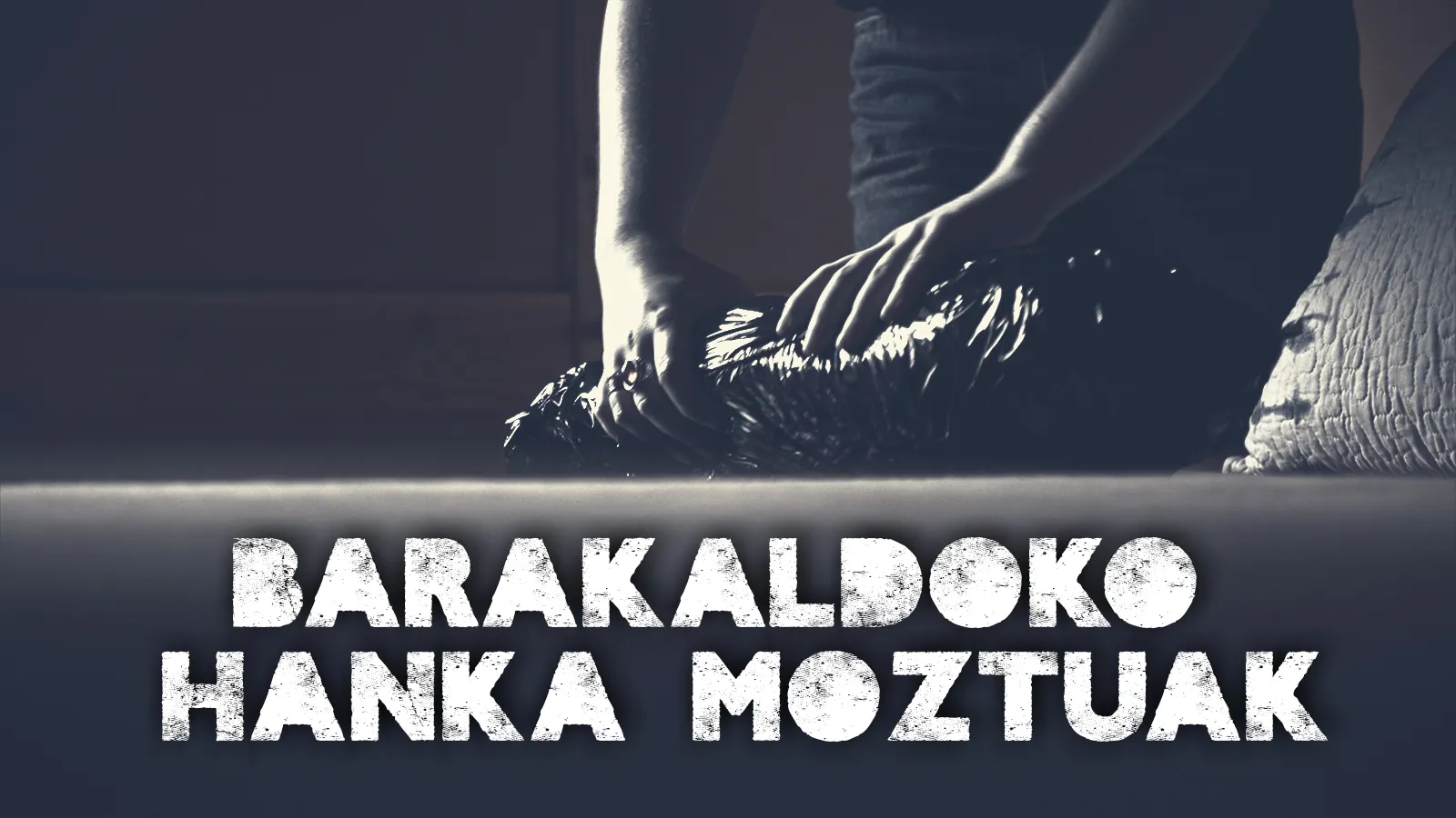 T2: 1. Barakaldoko hanka moztuak