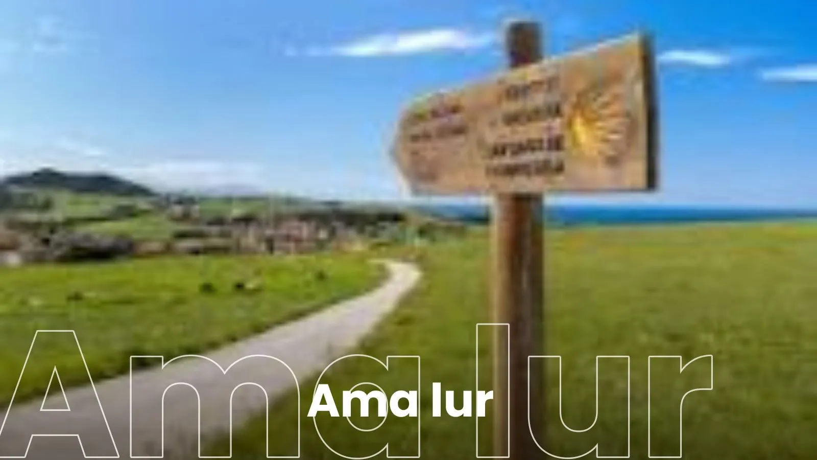 Camino de Santiago: la calle mayor de Europa 
