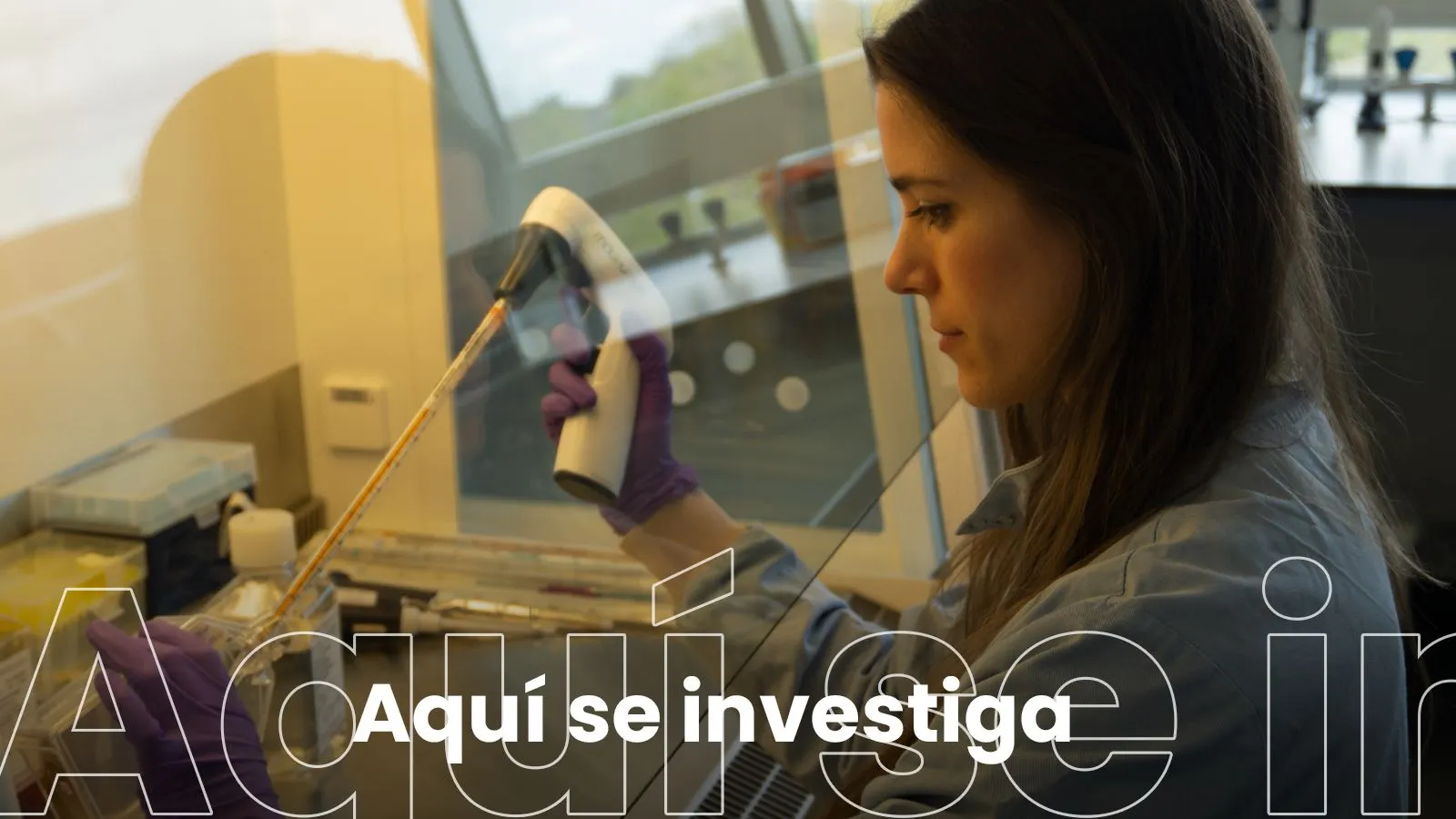 Organo en un chip para predecir la seguridad y eficacia de los fármacos
