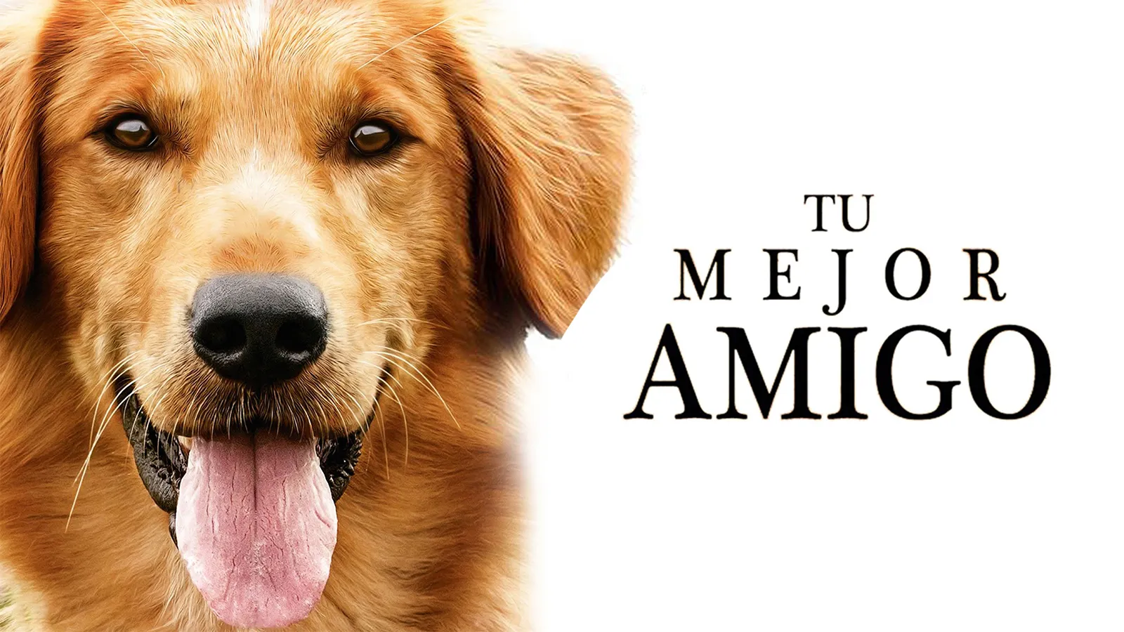 Tu mejor amigo