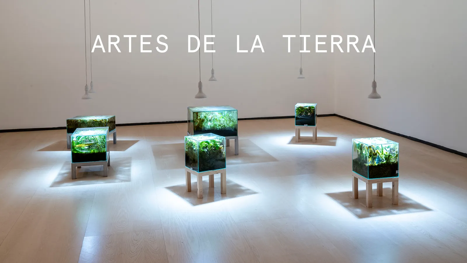 Artes de la Tierra