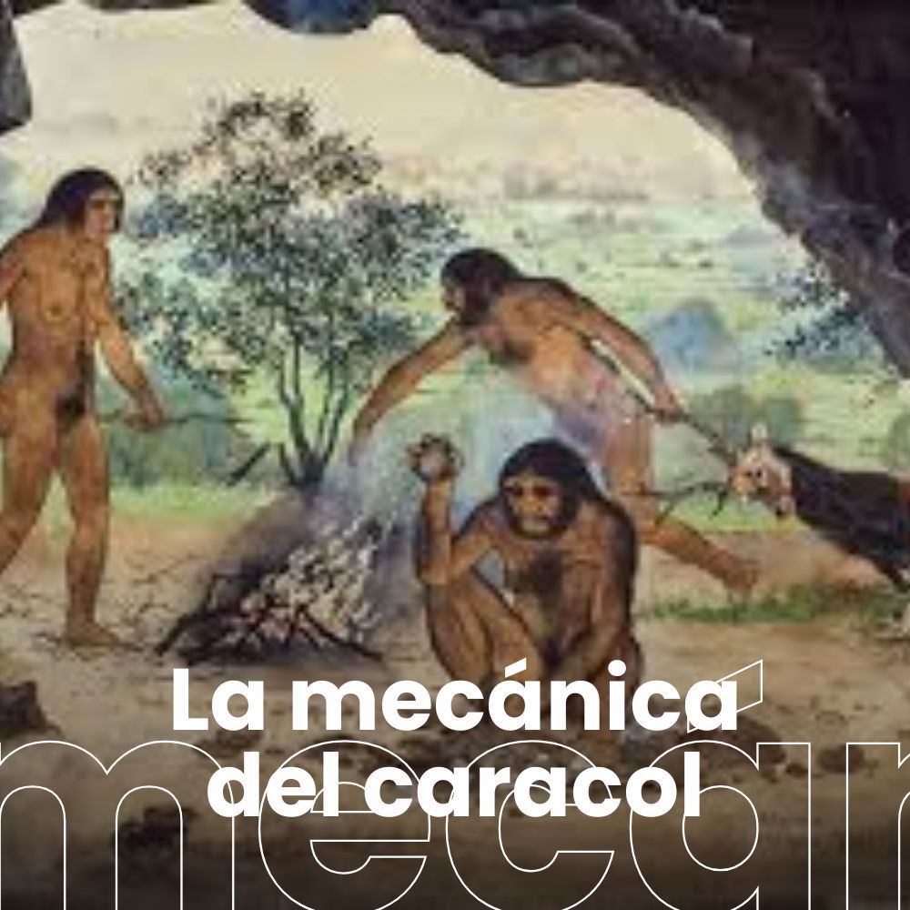 H. erectus usaba fuego hace 1,8 millones de años. La evolución de la guerra en la Edad Media