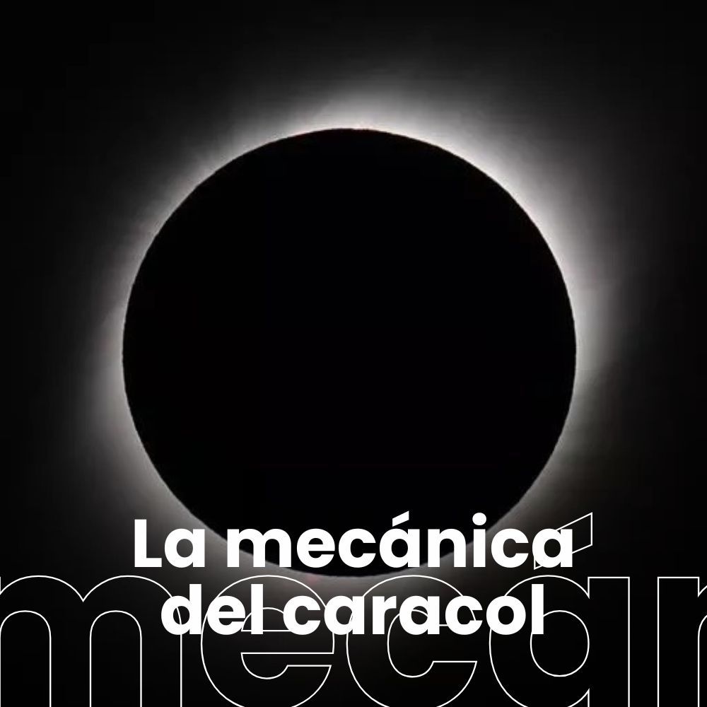 Los animales reaccionan ante los eclipses. Atsegiñe, la nueva patata rica en antioxidante de Neiker