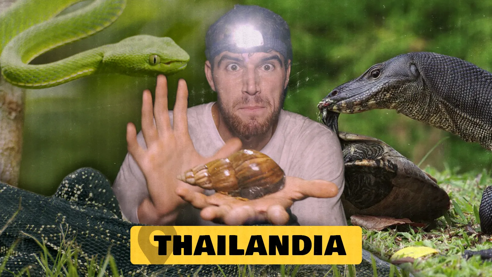 6. Los animales más sorprendentes de Tailandia
