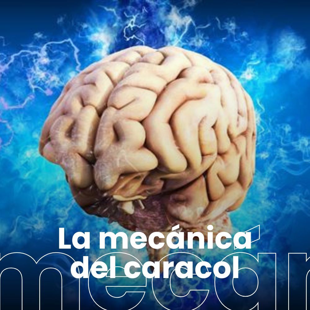 El lenguaje de las feromonas. Neuronas en crecimiento: el cuidado del cerebro infantil