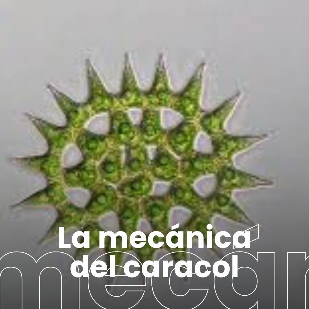 Investigación con microalgas: del estudio de las especies tóxicas en el litoral a los usos en biotecnología