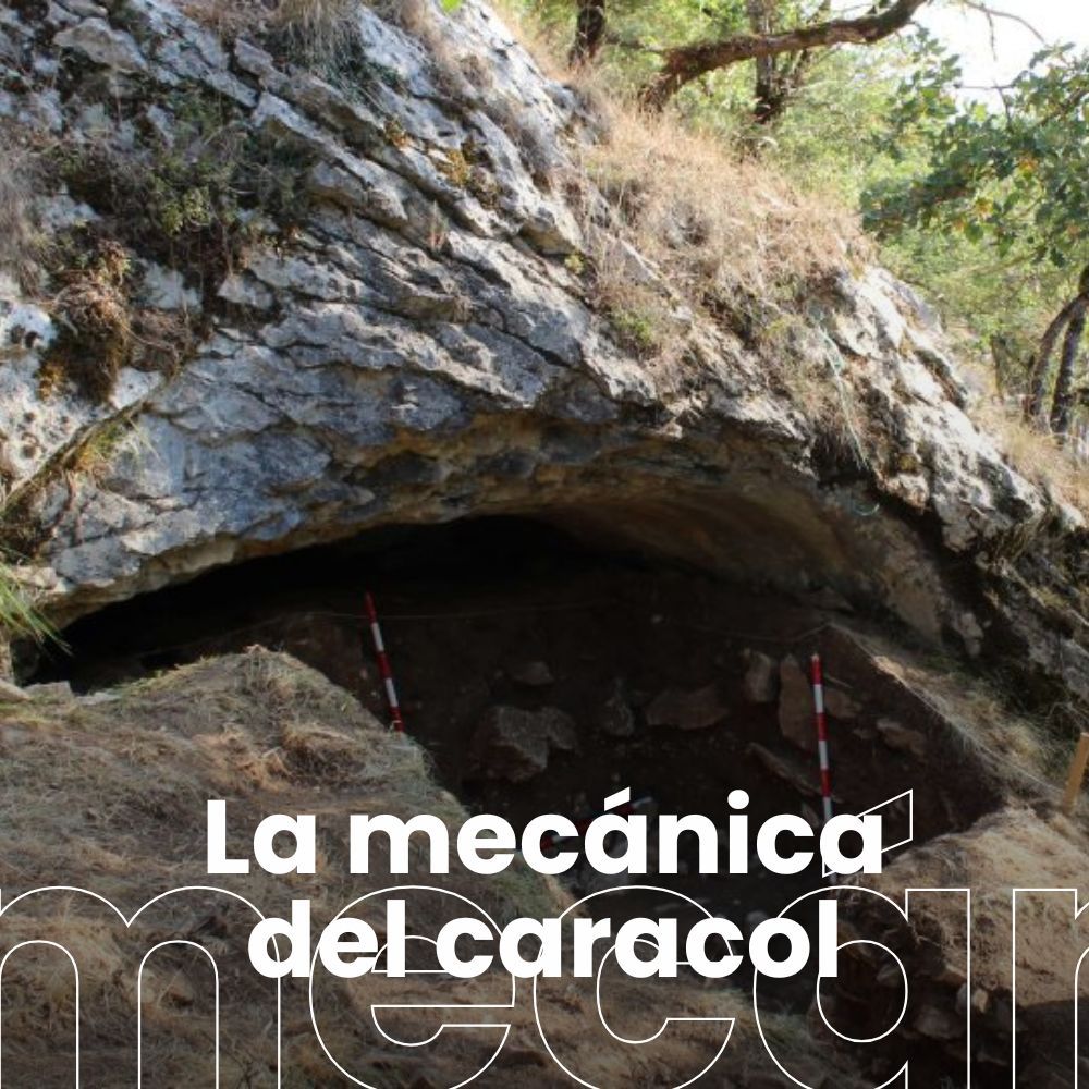 Aranzadi desvela 40.000 años de historia en Koskobilo. Andamios biológicos de soja y celulosa para regenerar cartílago