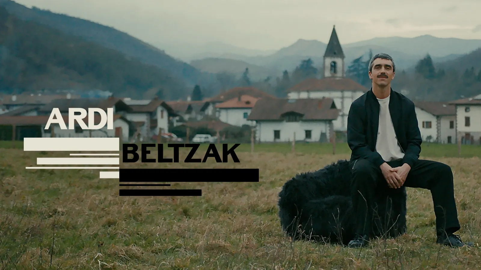 Ardi beltzak