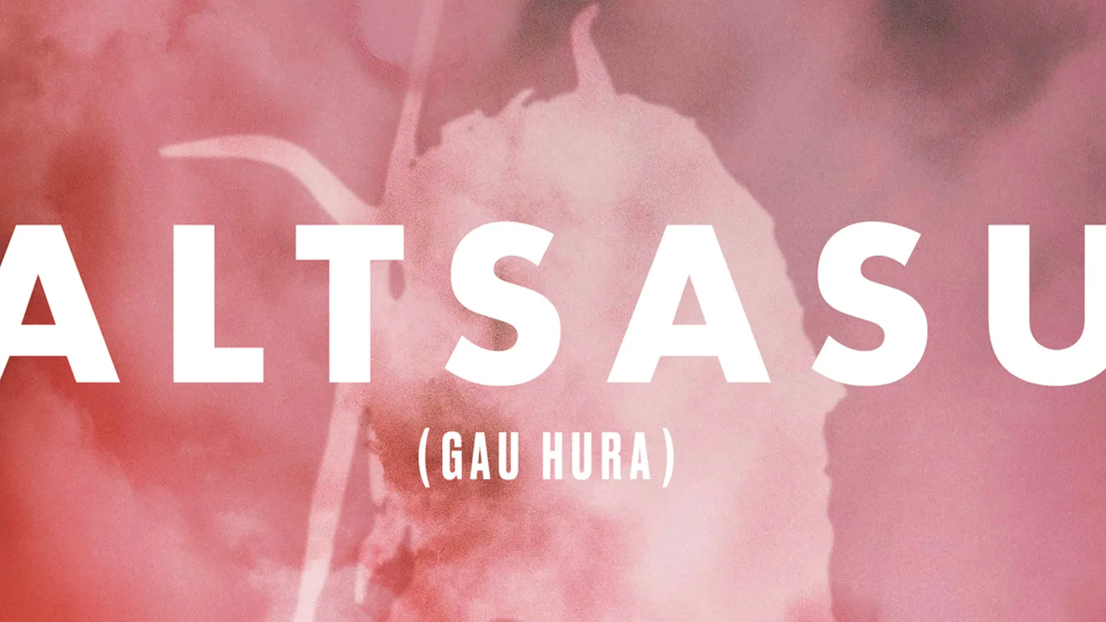 Altsasu, gau hura