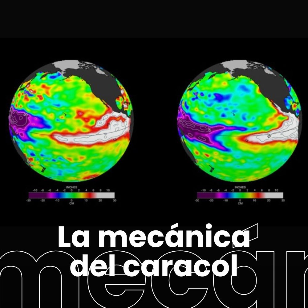 Las previsiones en meteorología anuncian un "Superniño". Enfermedades tropicales km 0 y el aumento de la ETS