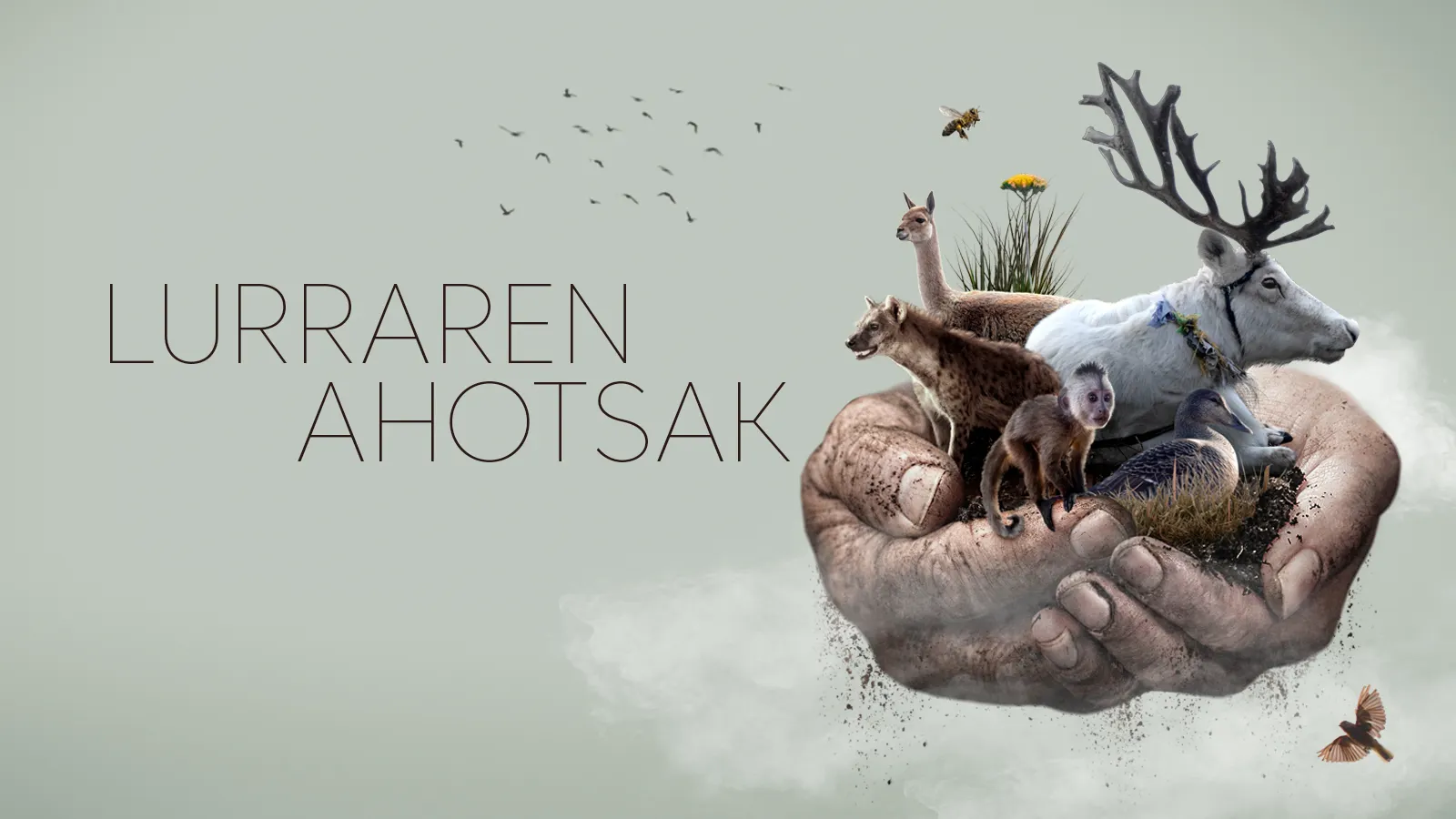 Voices of earth